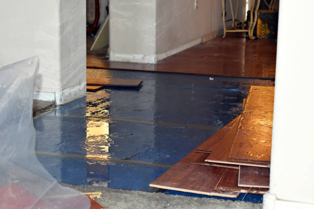 Professional Basement Flood Cleanup technician working in Woodworth, LA